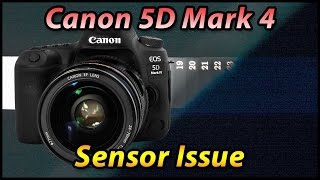 Canon 5D Mark 4 Sensor Issue  Exposure Streaking in RAW [upl. by Nikaniki]