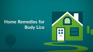 Home Remedies for Body Lice How to Get Rid of Lice [upl. by Maclean]