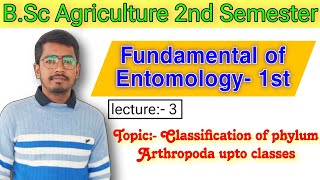 Classification of phylum Arthropoda upto classes Fundamental of Entomology 1 BSc Agri 2 Entomology [upl. by Adnahc]