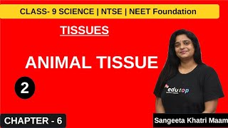 TISSUES CLASS 9 2 ANIMAL TISSUES  CLASSIFICATION OF ANIMAL TISSUES CLASS911 amp NEET [upl. by Farkas148]