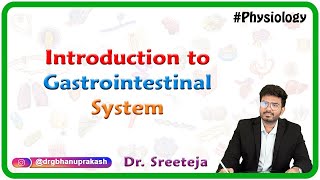 Introduction to Physiology of Gastrointestinal System  USMLE Step 1 [upl. by Shir]