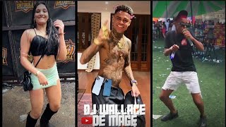 5 MINUTINHOS DE BEAT HA HA MATANDO A SAUDADE SÓ AS BRABAS DJ WALLACE DE MAGÉ [upl. by Marl]