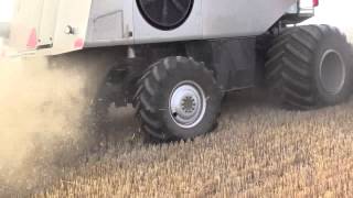 Gleaner S77 harvesting wheat [upl. by Evets]