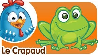 le crapaud poulette petit pois [upl. by Steiner]