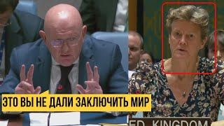 Не вам поучать нас Небензя ответил послу Британии на упреки изза Украины [upl. by Arolf]