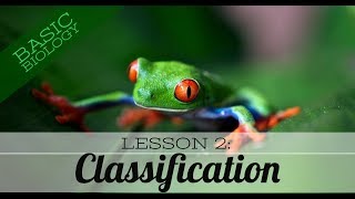 Basic Biology Lesson 2  Classification of living things GCSE Science [upl. by Slohcin20]