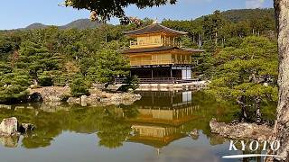 Walking around Kinkakuji The Golden Pavilion in KyotoJapan [upl. by Abil]