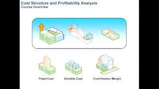 Cost Structure and Profitability Analysis [upl. by Eiaj]