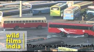 Majestic Bus Station  busiest terminus in Bangalore [upl. by Artcele]