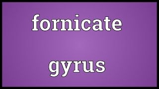 Fornicate gyrus Meaning [upl. by Aihtyc992]