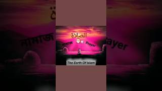 The Importance of Prayer in Islam  Namaz  Salat  نشيد الصلاة  islamic arabicnasheed shorts [upl. by Olraced]