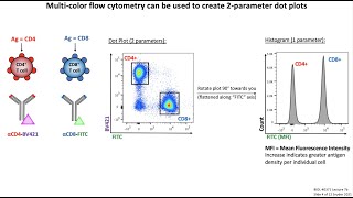 Lecture 7b Flow Cytometry [upl. by Rew]