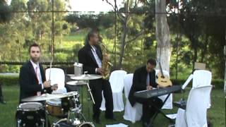 só voce de fabio junior instrumental saxofone casamento [upl. by Adrien388]