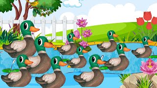 Count And Learn 1 to 10 with Friendly Ducks Swimming And Shining  Sing and Learn Numbers🪿🪿🪿 [upl. by Cindie]