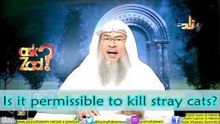 Is it permissible to kill stray cats outside my home  Sheikh Assim Al Hakeem [upl. by Tobiah]