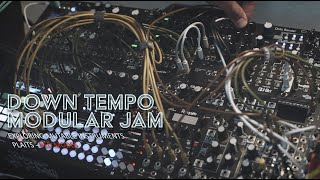 Modular jam with Plaits red mode pizza honeyeater Hermod data bender Rample and more [upl. by Nancee]