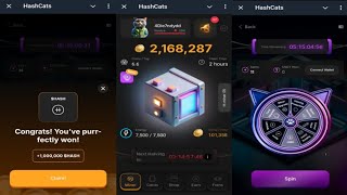 HashCats  New Feature Helps You Earn More HASH Coins Faster  Come Join Me  Telegram Crypto Bot [upl. by Sindee]