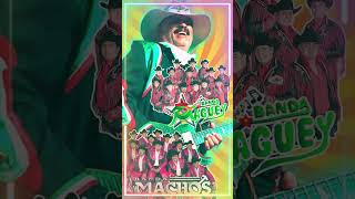 Ramito De Violetas  Mejores Canciones de Mi Banda El Mexicano  Quebradita de los 90s [upl. by Ennyroc]