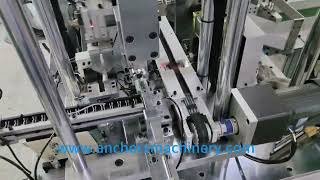 M8 M10 M12 Wedge anchor bolt clip washer nut assembling machine [upl. by Savdeep]