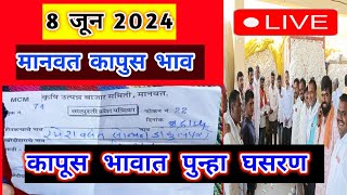 🔴 8 जून मानवत कापूस बाजार भाव वाढलेKapus Bhav Todayसेलू कापूस भाव [upl. by Suirada558]