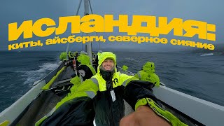 VLOG 3 – ИСЛАНДИЯ  Киты Водопады Северное Сияние [upl. by Schear813]