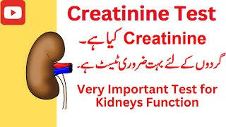 creatinine test kya hai normal range [upl. by Sesylu]