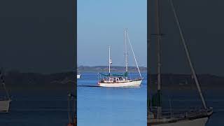 IJselmeer 2024 lemmer lake sailboat watersport relaxing [upl. by Aihsyak]