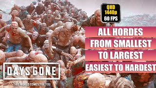 Days Gone ALL HORDES  Easiest to Hardest  Smallest to Largest Ranked By Size amp By Difficulty PC [upl. by Ylle]