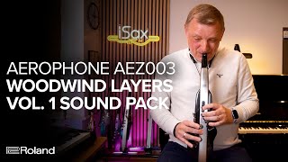 Roland Aerophone AEZ003 Woodwind Layers Vol 1 Sound Examples [upl. by Olonam]