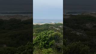 Early morning surf checks in Tasmania 2024 [upl. by Browning]