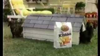 Dachshund comercial Kibbles n Bits n Bits n Bits  Weiner Dog 1986 [upl. by Teriann119]