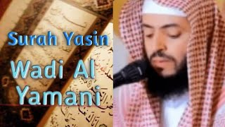 Surah Yasin  Wadi Al Yamani  Best recitation [upl. by Charmain]