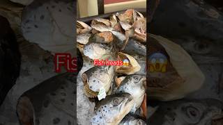 Fish heads😱 shortsfeed [upl. by Eelidnarb]