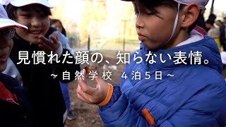 学校行事（小学校編）～兵庫県教員採用～ [upl. by Mellisent339]