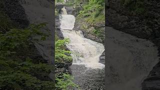 Beautiful Raymondskill Falls in Milford Pennsylvania shorts [upl. by Azzil]