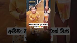 බලන්නකෝ චූටි හොරෙක්🤭❤️trendingshortssrilanka [upl. by Valerye]