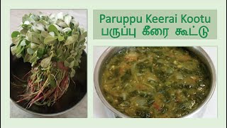 Paruppu keerai kootuparuppu keerai recipeparuppu keerai masiyal [upl. by Ivad]