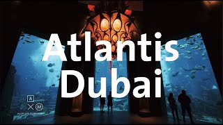 Hoteles espectaculares  ATLANTIS THE PALM DUBAI  Alan por el mundo [upl. by Aderf]