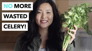 How to Harvest and Store Celery for Short and Long Term [upl. by Aneerhs773]