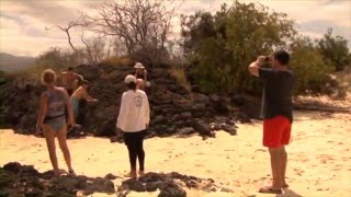 GALAPAGOS Surf Paradise Documentary [upl. by Altman127]