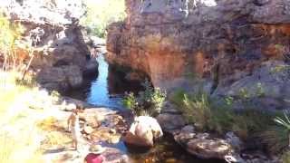 Wonderful Crocodile Safe Swimming Hole  Lorella Springs Wilderness Park [upl. by Shiverick684]