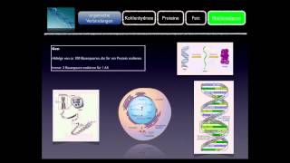 Basiskurs BiochemieChemie Nukleinsäuren Teil 1010 [upl. by Lennej897]