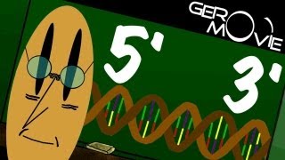 5´3´ Biologie GeroMovie [upl. by Atiuqa381]