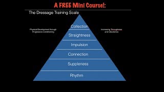 The Dressage Training Scale A FREE Mini Course [upl. by Lody897]