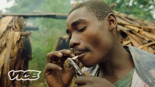 The Congolese Tribes Selling Weed to Survive  WEEDIQUETTE [upl. by Odelle543]