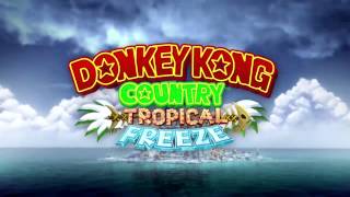 Level 24 Sawmill Thrill  Donkey Kong Country Tropical Freeze  Music [upl. by Jehu324]