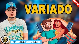 MUSICA VARIADA MIX 2024 1🤯🔥  DJ JUNIOR GOZADERA  MIX VARIADO SALSA BACHATA MERENGUE Y TIPICO [upl. by Ainola]