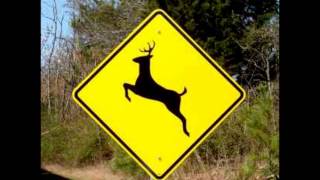 ORIGINAL  Please Move The Deer Crossing Sign [upl. by Olecram]