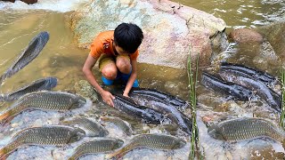 Full video Catch Fish Create Fish Traps go to the market to sell fish in exchange for a puppy [upl. by Nahtannoj779]