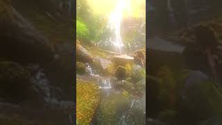 Michael Schulte x R3HAB – Waterfall R3HAB Waterfall michaelschulte music shorts [upl. by Eelarak]